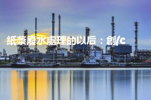 紙漿廢水處理的以后：創(chuàng)新技術與生態(tài)平衡？